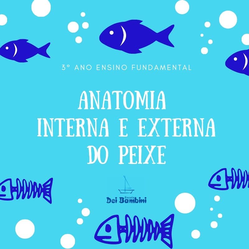 Anatomia interna e externa do peixe - 3° ano EF
